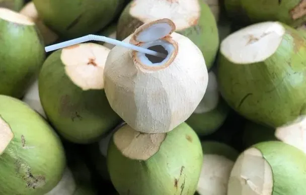 Dừa tươi Việt Nam: Từ đặc sản địa phương đến ngành hàng tỷ USD
