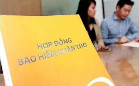 Thêm quyền cho địa phương trong quản lý bảo hiểm