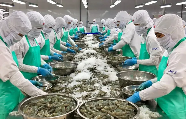Xuất khẩu thủy sản Việt Nam: Chủ động ứng phó, nâng chuẩn để giữ vững thị trường