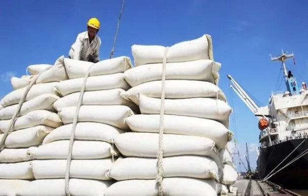 Thị trường gạo châu Á thấp nhất trong nhiều năm