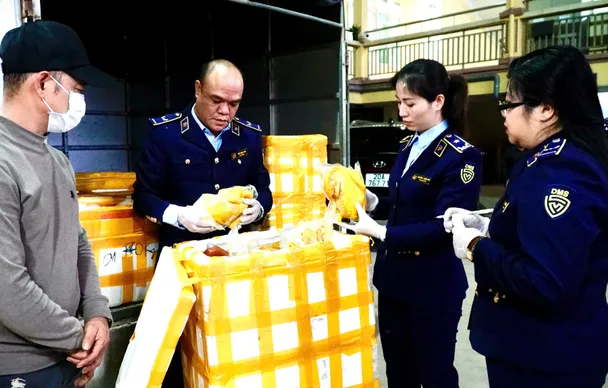 Phát hiện số lượng lớn chân gà rút xương, gà ủ muối không rõ nguồn gốc