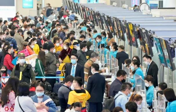 Thị trường vận tải Tết Bính Ngọ: Sự phân hóa rõ rệt giữa các loại hình di chuyển