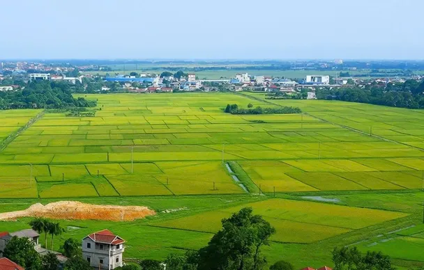 Cơ chế đặc thù xử lý vi phạm pháp luật về đất đai trước năm 2024