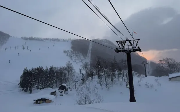 Nữ du khách Australia tử vong do tai nạn cáp treo tại Nhật Bản