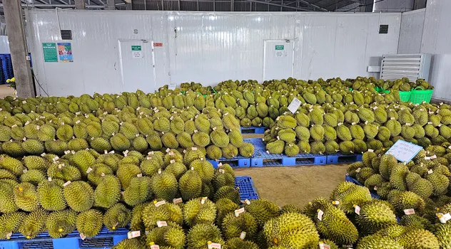 Đặt mục tiêu có 5.000 doanh nghiệp nông nghiệp vào năm 2030