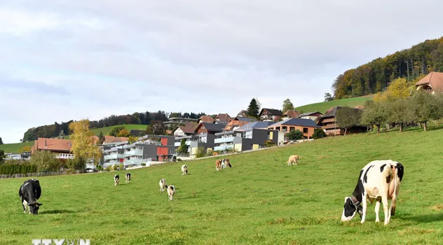 Thêm hai lô sữa bột trẻ em của Nestlé bị thu hồi tại châu Âu