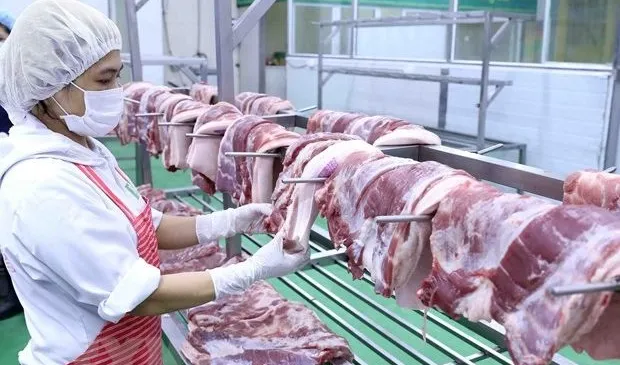 Vận hành sàn giao dịch thịt lợn từ cuối tháng 4