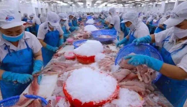 Tháo điểm nghẽn để cán đích xuất khẩu nông, lâm, thủy sản