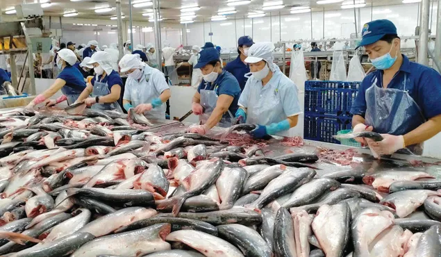 Xuất khẩu thủy sản sẽ chuyển biến mạnh trong tháng 5 và tháng 6