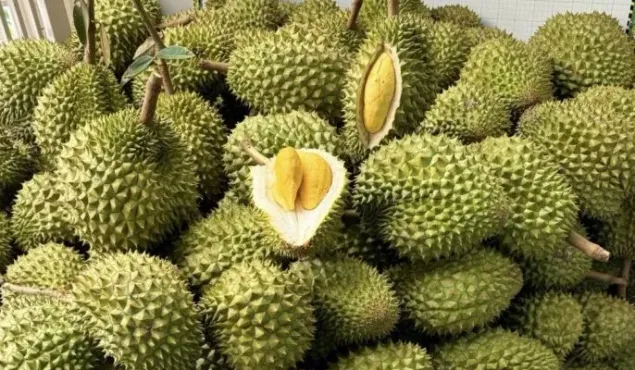 Thủ tướng yêu cầu không để tình trạng ùn tắc hàng hóa, nông sản tại cửa khẩu