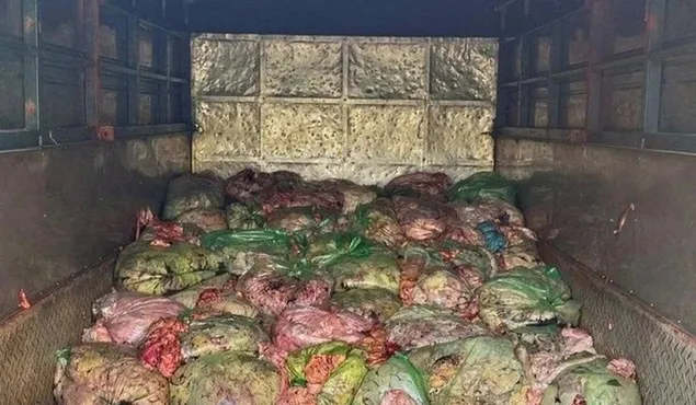 Chặn đứng 1,3 tấn nội tạng bốc mùi suýt lên bàn ăn
