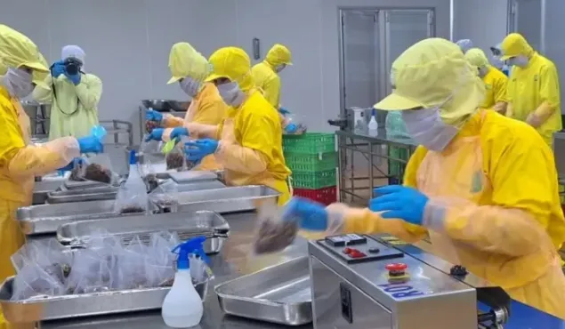 Hà Nội tập trung triển khai Nghị quyết 68 toàn thành phố
