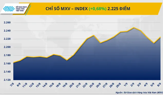 Chỉ số MXV-Index quay đầu phục hồi sau ba phiên suy yếu liên tiếp