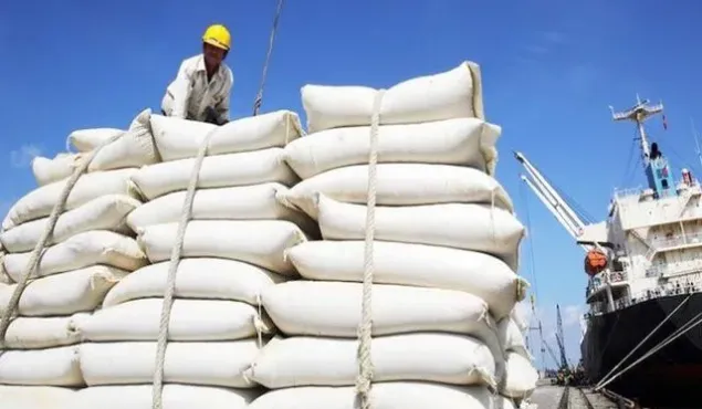 Thị trường gạo châu Á thấp nhất trong nhiều năm