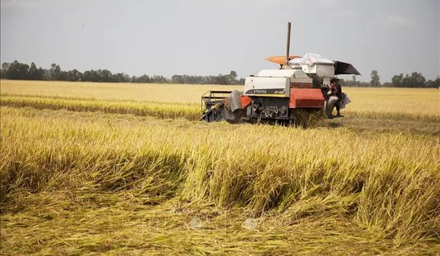 Mỹ tăng cường xúc tiến thương mại nông nghiệp với Việt Nam và một số nước