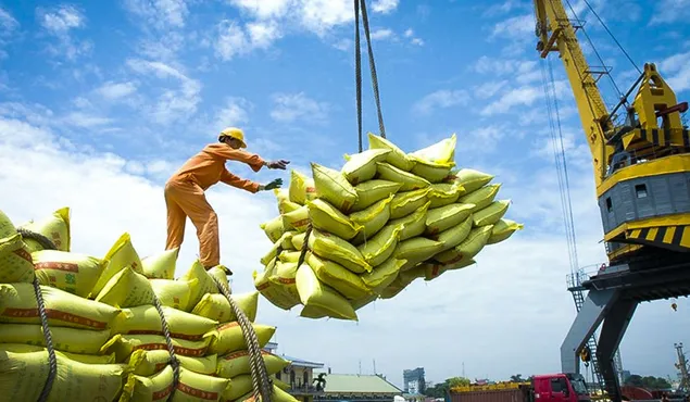 Xuất khẩu gạo: Chủ động thích ứng, giảm rủi ro thị trường