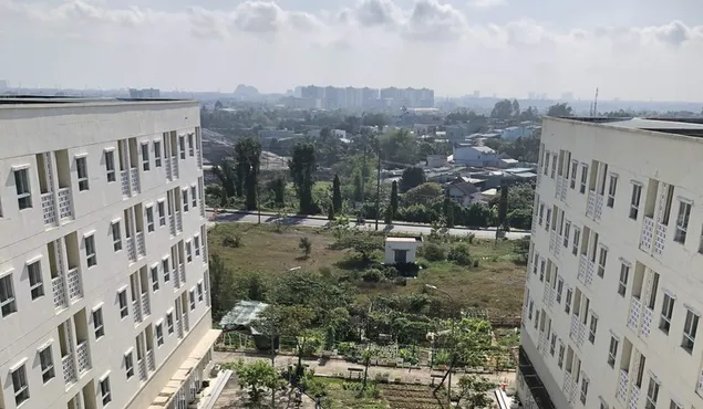 13 đơn vị tại TP. Hồ Chí Minh đăng ký xây nhà cho thuê