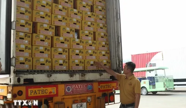 Xuất khẩu qua cửa khẩu Lào Cai tăng hơn 60%, sầu riêng lập kỷ lục