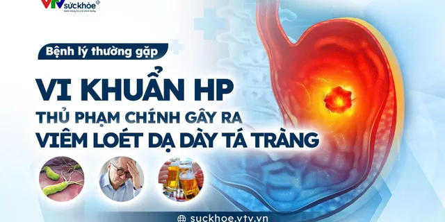 Vi khuẩn HP -  Thủ phạm chính gây viêm loét dạ dày tá tràng
