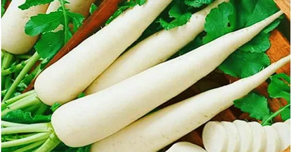 Tác dụng chữa bệnh tuyệt vời của củ cải trắng