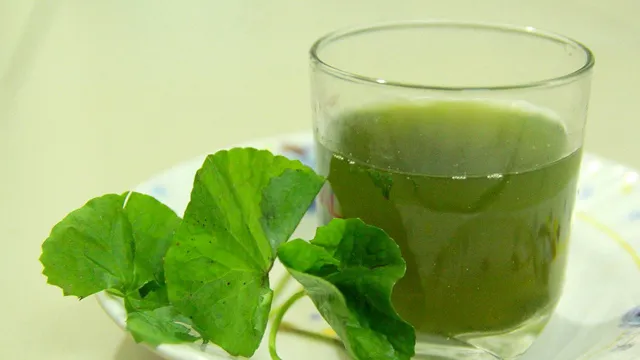 Cây rau má: Rau ăn - Vị thuốc