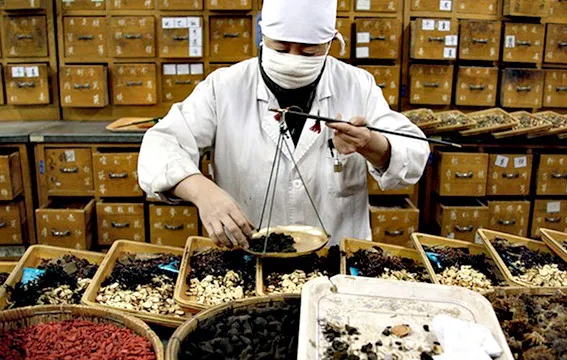 Sử dụng thuốc y học cổ truyền đúng và hiệu quả, tránh tiền mất tật mang