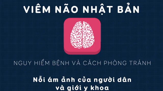 [INFOGRAPHIC] Nguy hiểm bệnh viêm não Nhật Bản và cách phòng tránh