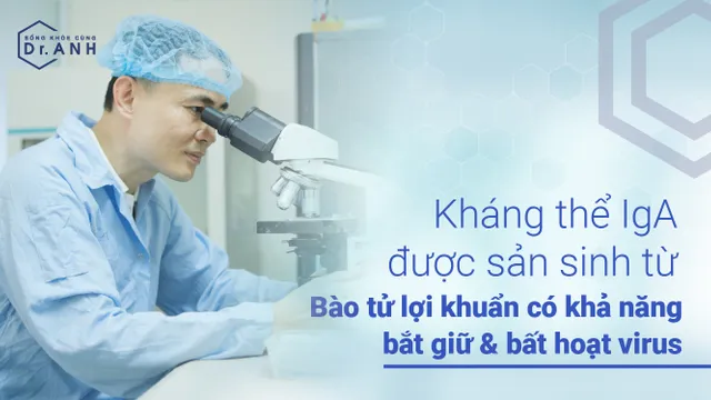 Cách ngăn cản virus xâm nhiễm, bảo vệ đường hô hấp bằng bào tử lợi khuẩn