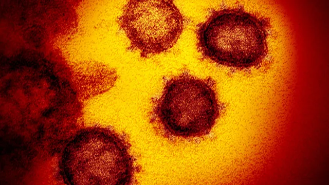 Trung Quốc phát hiện 2 loại của virus SARS-CoV-2