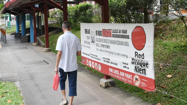 Dịch sốt xuất huyết bùng phát mạnh tại Singapore