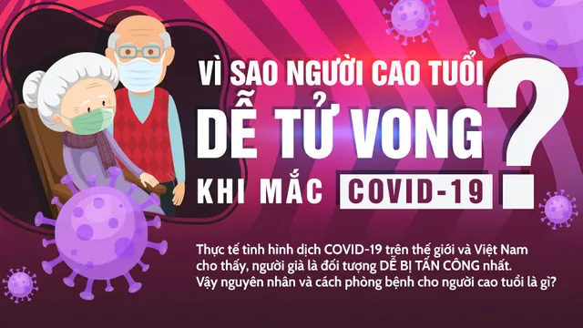 [Infographic] Vì sao người cao tuổi dễ tử vong khi mắc COVID-19?
