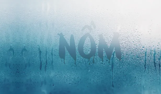 Cảnh báo nguy cơ dịch bệnh trong thời tiết nồm ẩm