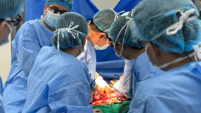 Một trái tim dừng lại, nhiều sự sống bắt đầu