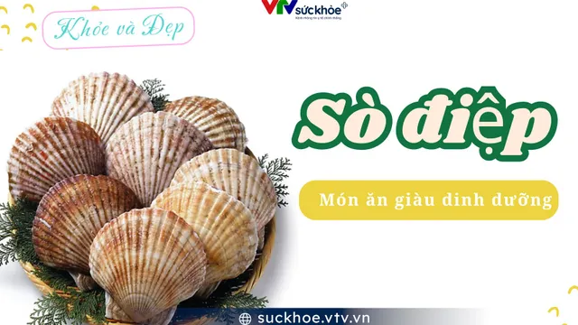 Sò điệp món ăn giàu dinh dưỡng