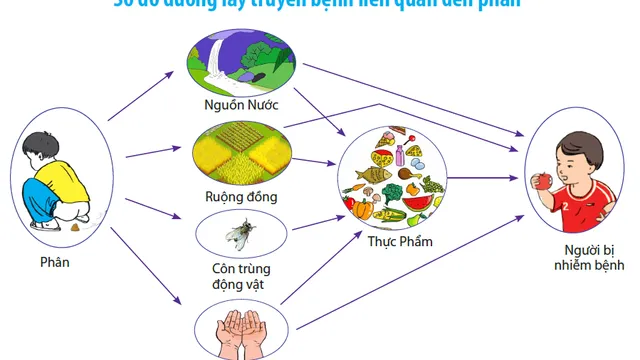 Phòng chống giun sán để bảo vệ sức khỏe trẻ em