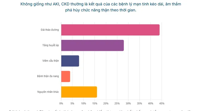 Suy thận cấp và mạn: Cập nhật nguyên nhân, cơ chế và phòng ngừa