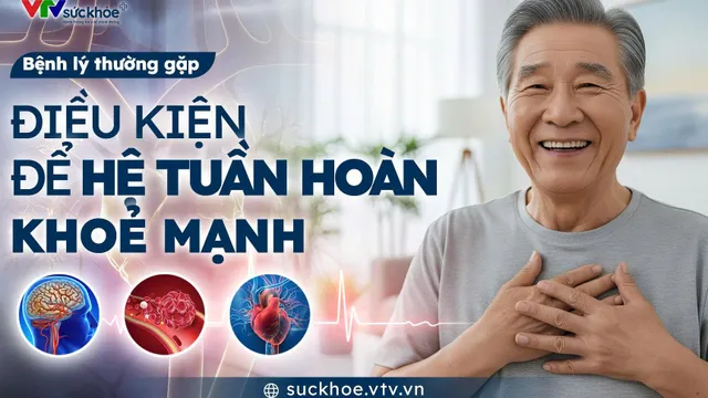 Điều kiện để hệ tuần hoàn khoẻ mạnh