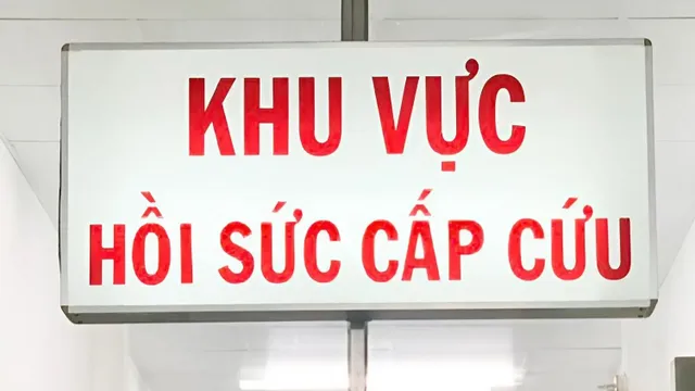 Bị ong đốt, nữ bệnh nhân sốc phản vệ suýt mất mạng