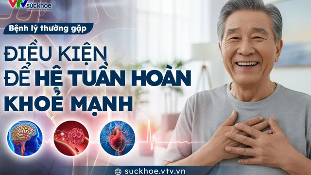 Điều kiện để hệ tuần hoàn khoẻ mạnh