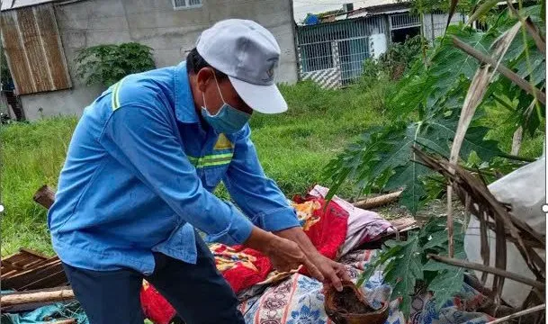 TP Hồ Chí Minh: Gia tăng số ca mắc sốt xuất huyết nặng, đã có 10 ca tử vong