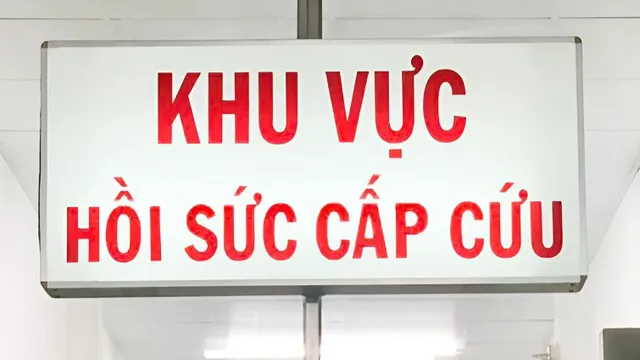 Giành lại sự sống cho cô gái trẻ ngừng tim nhiều lần