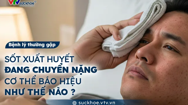 Sốt xuất huyết đang chuyển nặng - Cơ thể báo hiệu như thế nào?