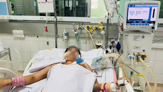 Người trẻ vẫn có thể tử vong vì sốt xuất huyết nếu đến viện muộn