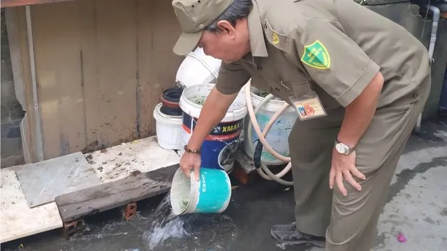 TP Hồ Chí Minh triển khai chiến dịch phòng, chống bệnh chikungunya