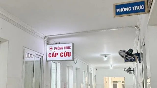 Bé gái 4 tuổi sốc phản vệ sau khi ăn nhộng ong
