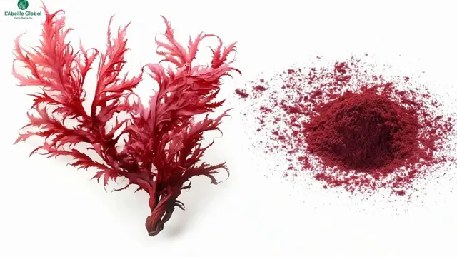 Astaxanthin – Vua chống oxy hoá từ vi tảo đỏ và tiêu chuẩn nguyên liệu cho sản phẩm cao cấp