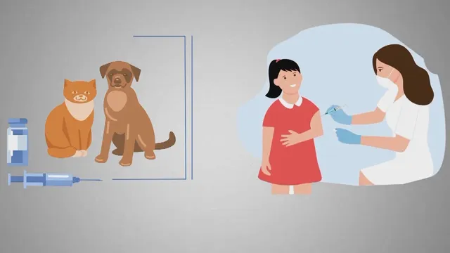 Infographic: Bệnh dại và các biện pháp phòng bệnh