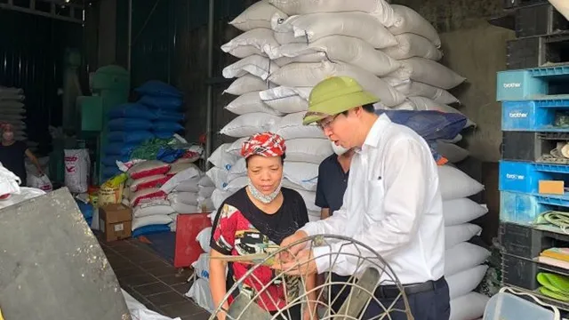 Hà Nội: Hàng chục ổ dịch sốt xuất huyết vẫn đang hoạt động