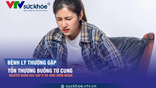 Tổn thương buồng tử cung - nguyên nhân hay gặp ở vô sinh hiếm muộn