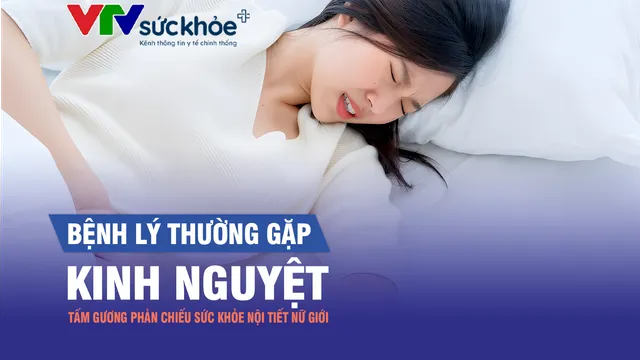 Kinh nguyệt - tấm gương phản chiếu sức khỏe nội tiết nữ  giới